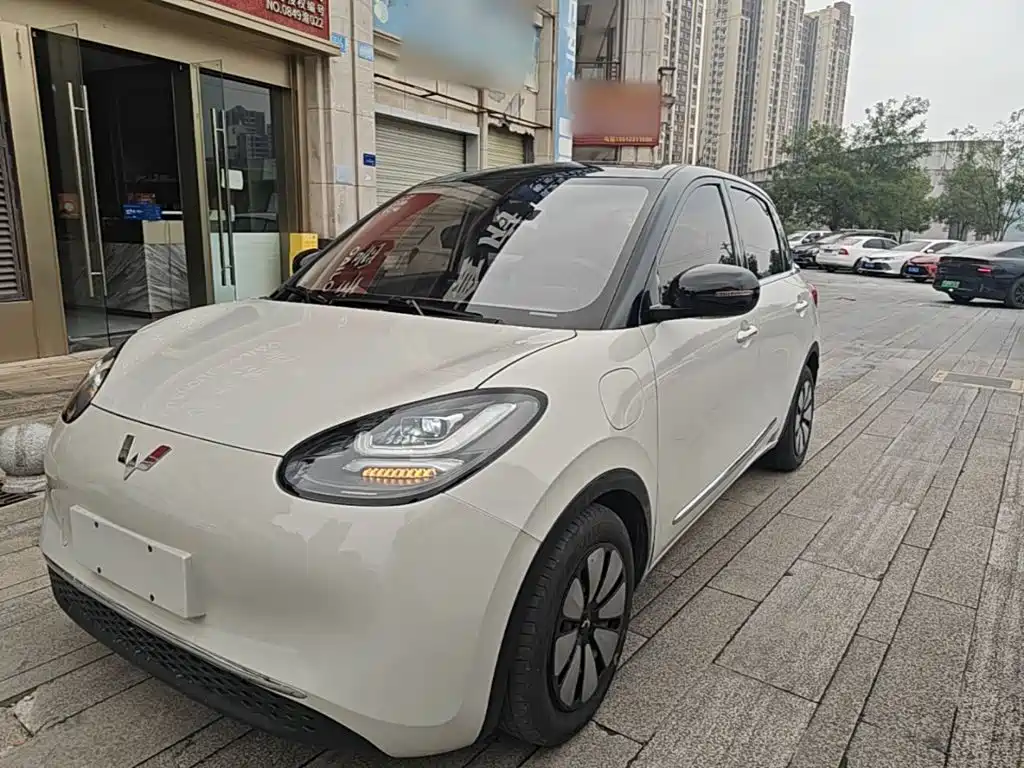 Wuling Bingo
