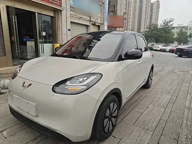 Wuling Bingo