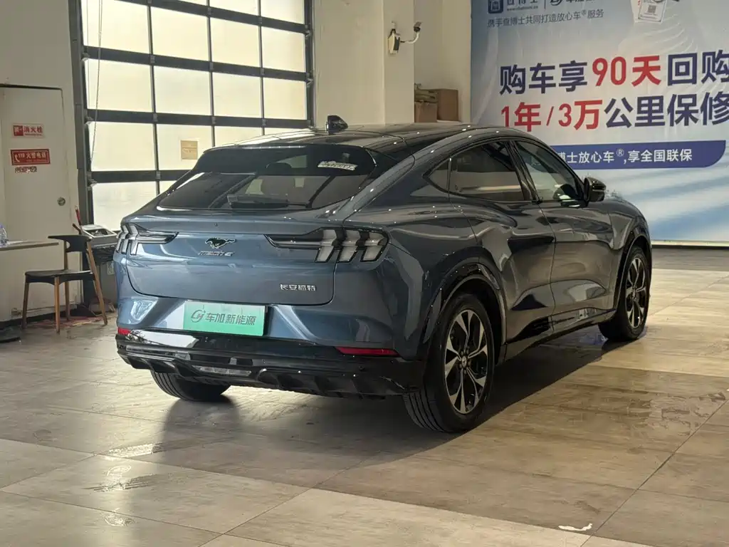 Ford Mustang Mach-E — миниатюра 7