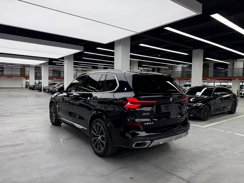 BMW X5 — миниатюра 15
