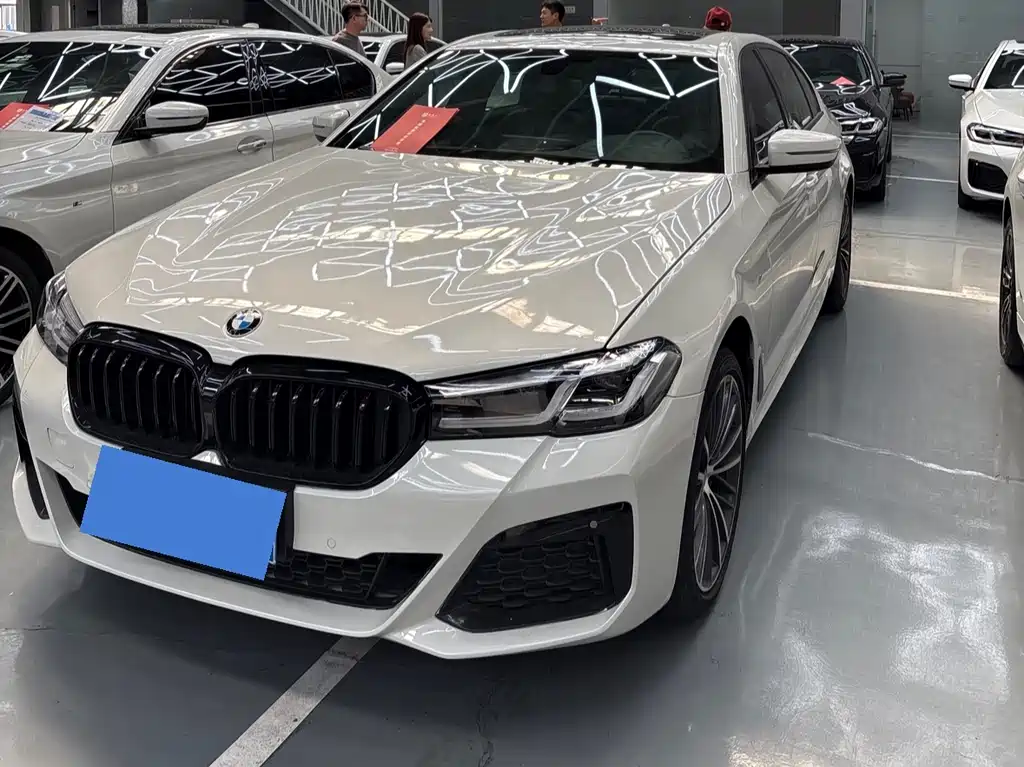 BMW 5 Series 2019