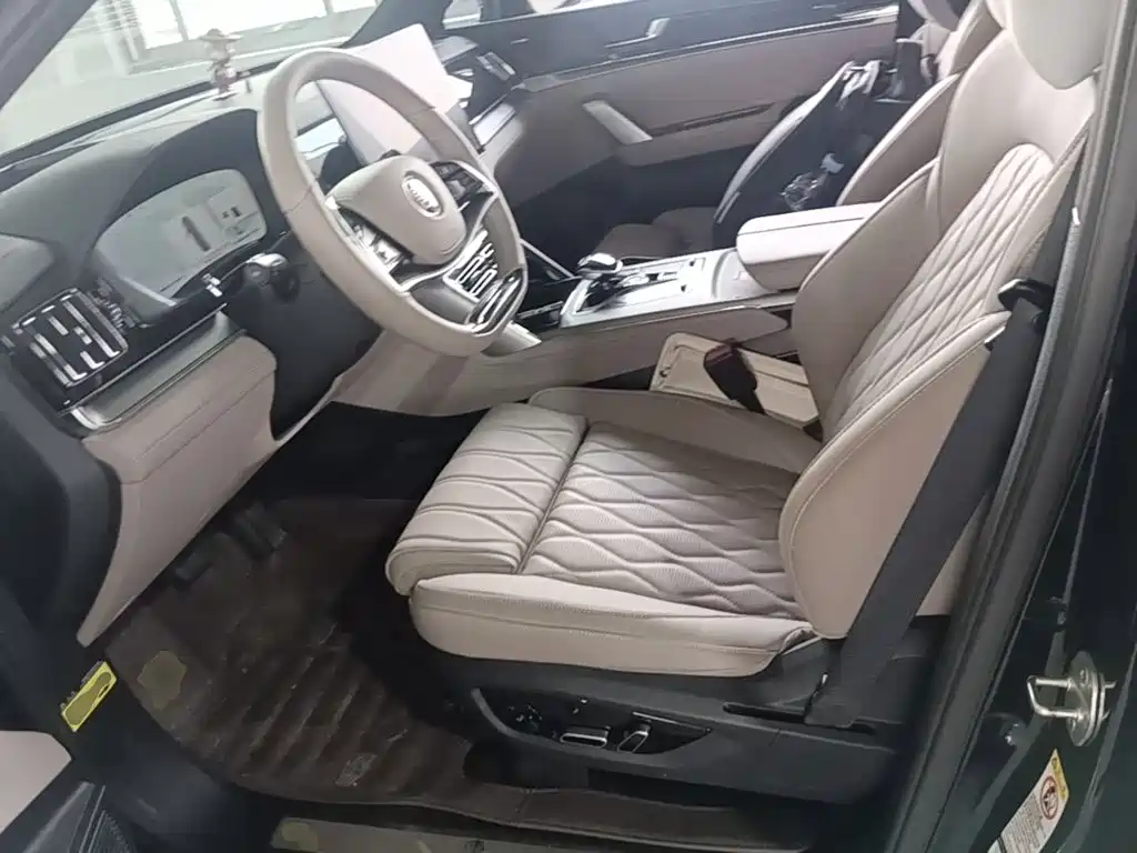 BYD Tang New Energy — миниатюра 15