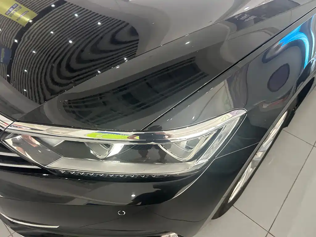 Volkswagen Magotan 2019 330TSI DSG Luxury VI
