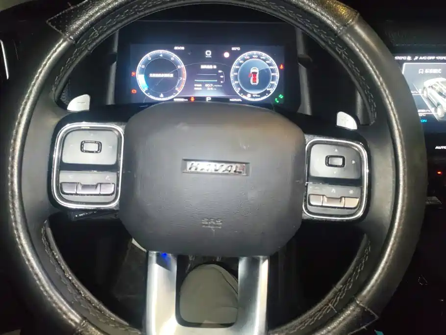 Haval Big Dog — миниатюра 15