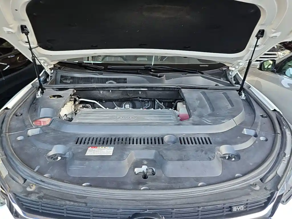 BYD New Energy — миниатюра 20