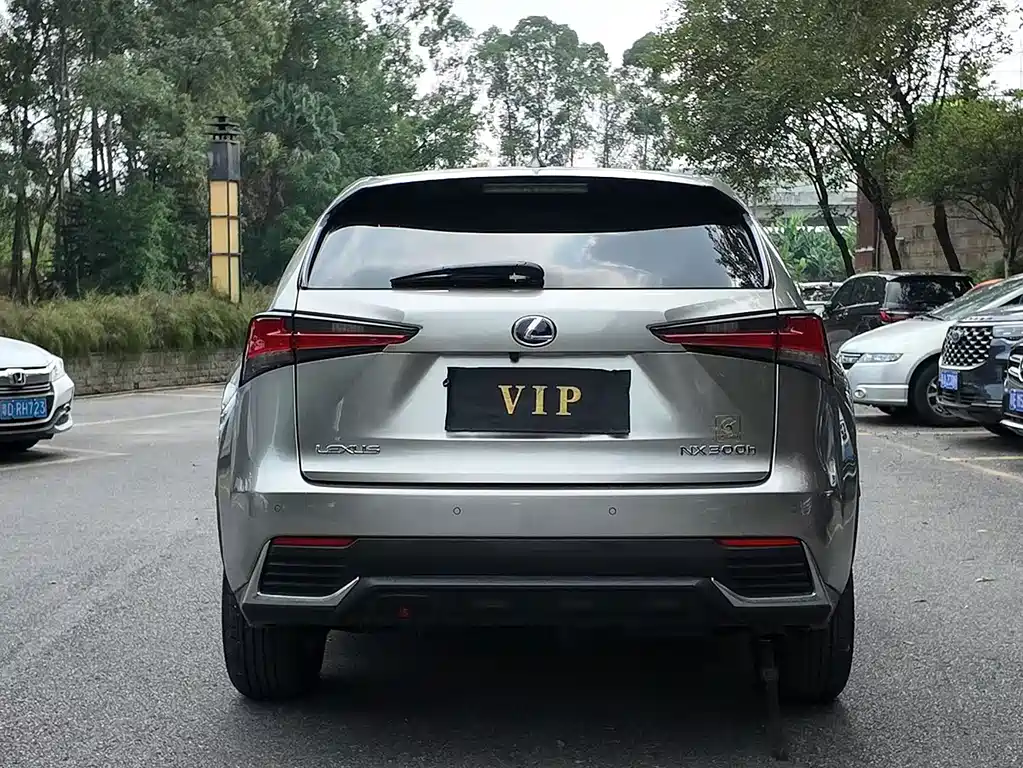 Lexus NX — миниатюра 8