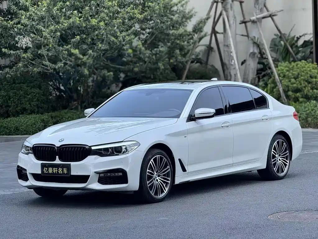BMW 5 Series 2019