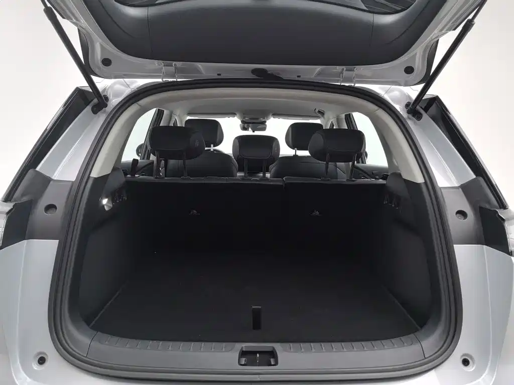 BYD Sealion 05 DM-i — миниатюра 17