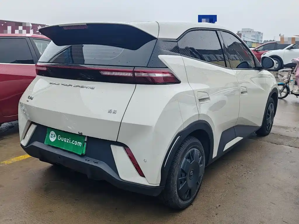 BYD Seagull