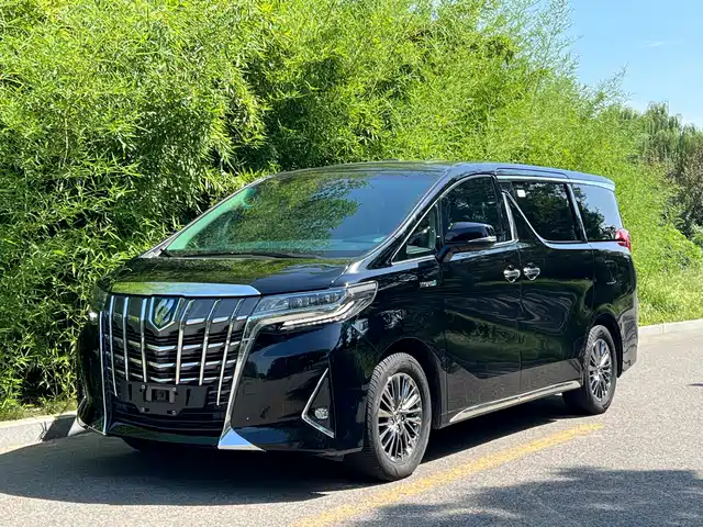 TOYOTA ELFA 2023