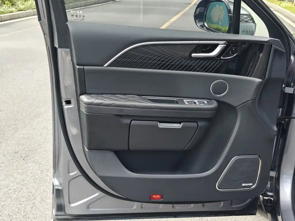Hongqi E-HS9 2021 460km мест