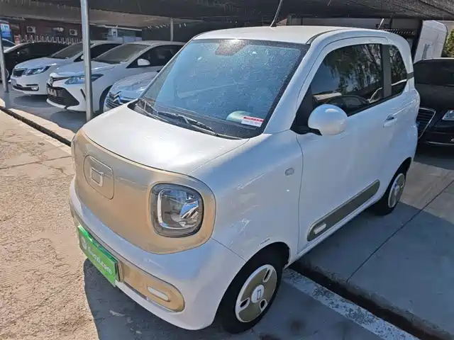 2024 Bestune Pony