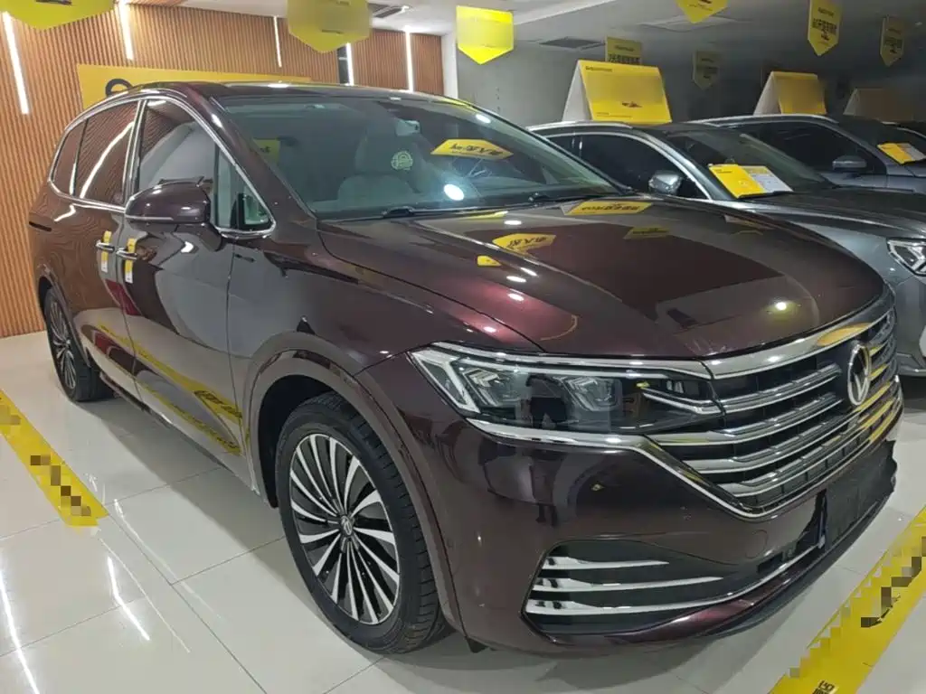 Volkswagen Viloran — миниатюра 4