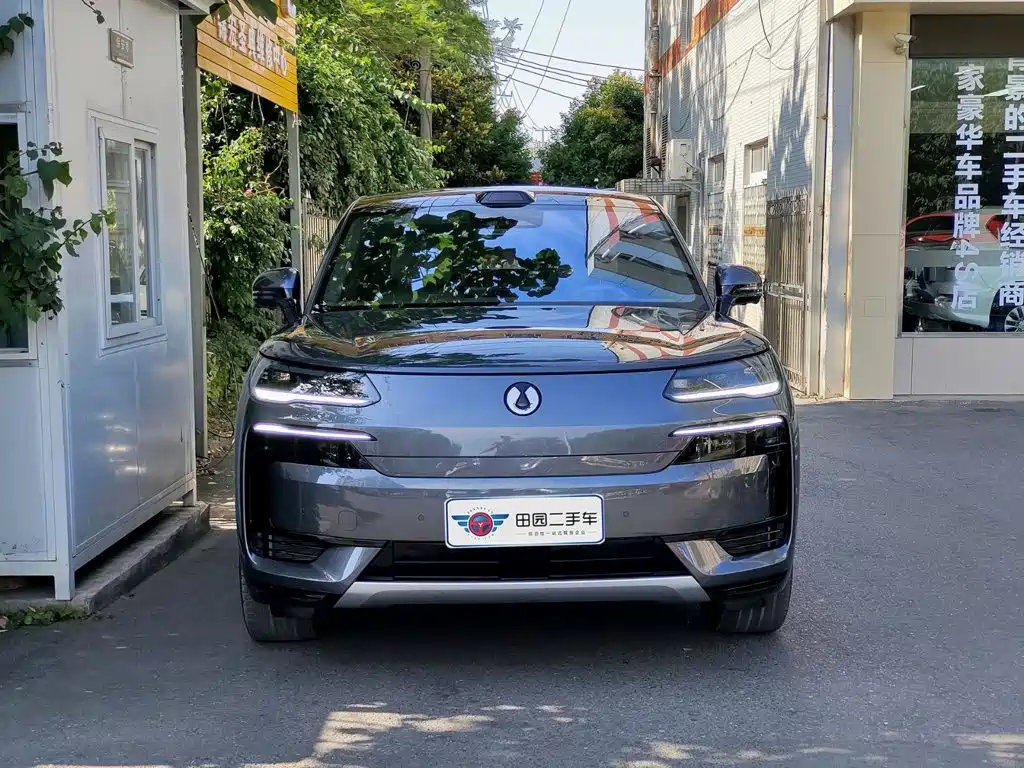 Denza Denza N9 — миниатюра 2