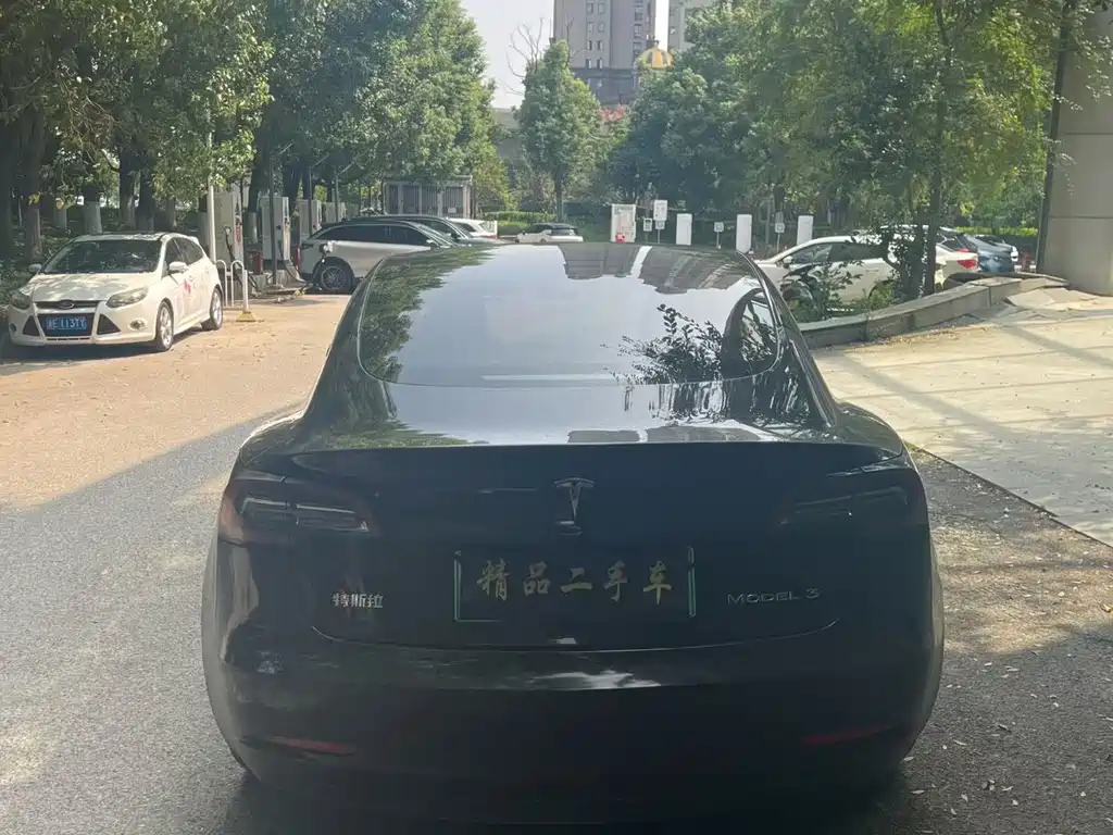 Tesla Model 3 — миниатюра 8