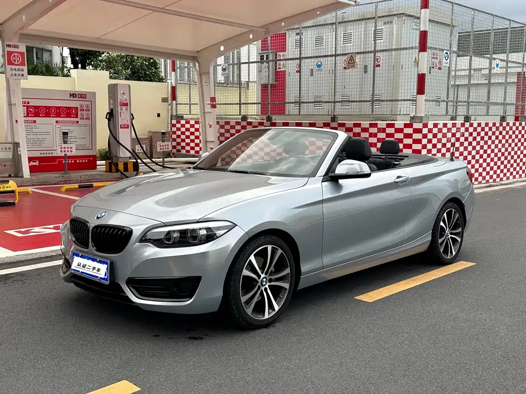 BMW 2 Series (Import) 2019