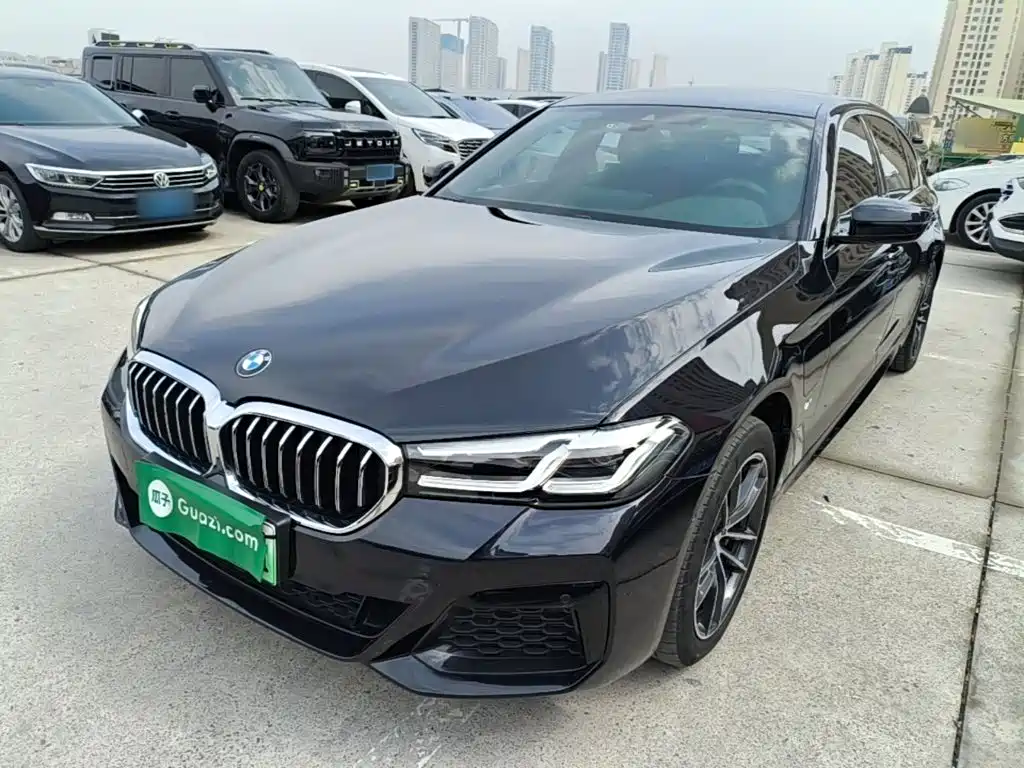 BMW 5 Series New Energy — миниатюра 2