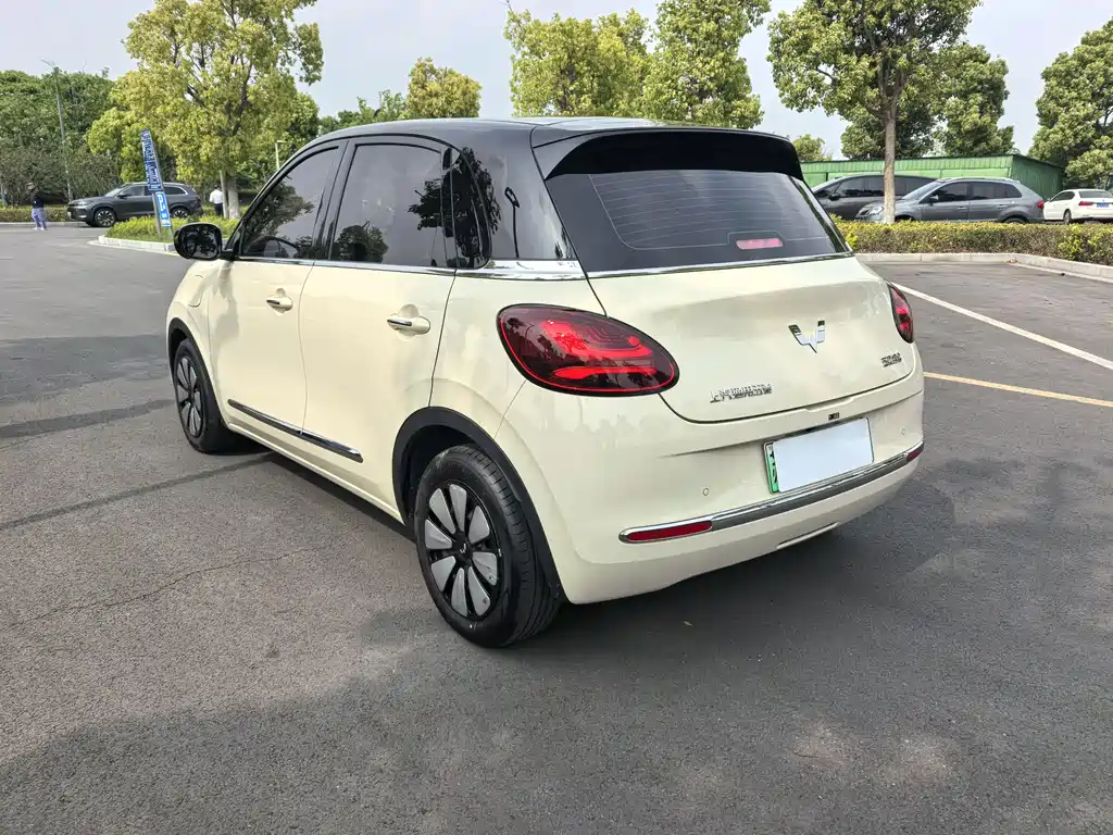 Wuling Binguo 2025 333km Enjoy