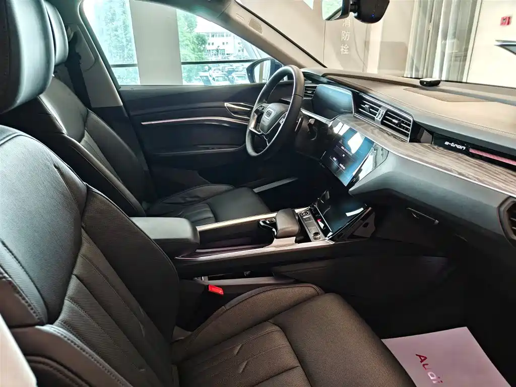 Audi e-tron (Import) — миниатюра 12
