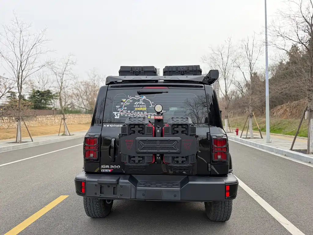 TANK TANK 300 NEW ENERGY