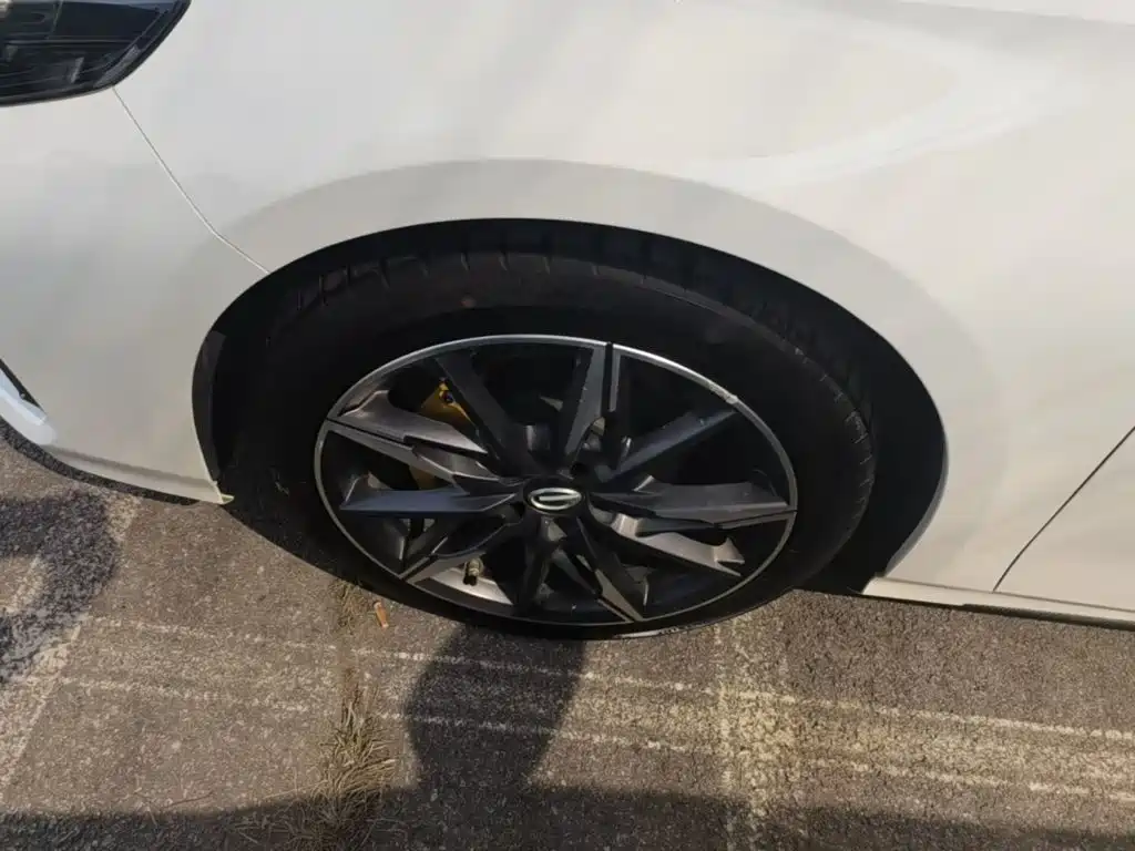 GAC Motor Shadow Leopard — миниатюра 23
