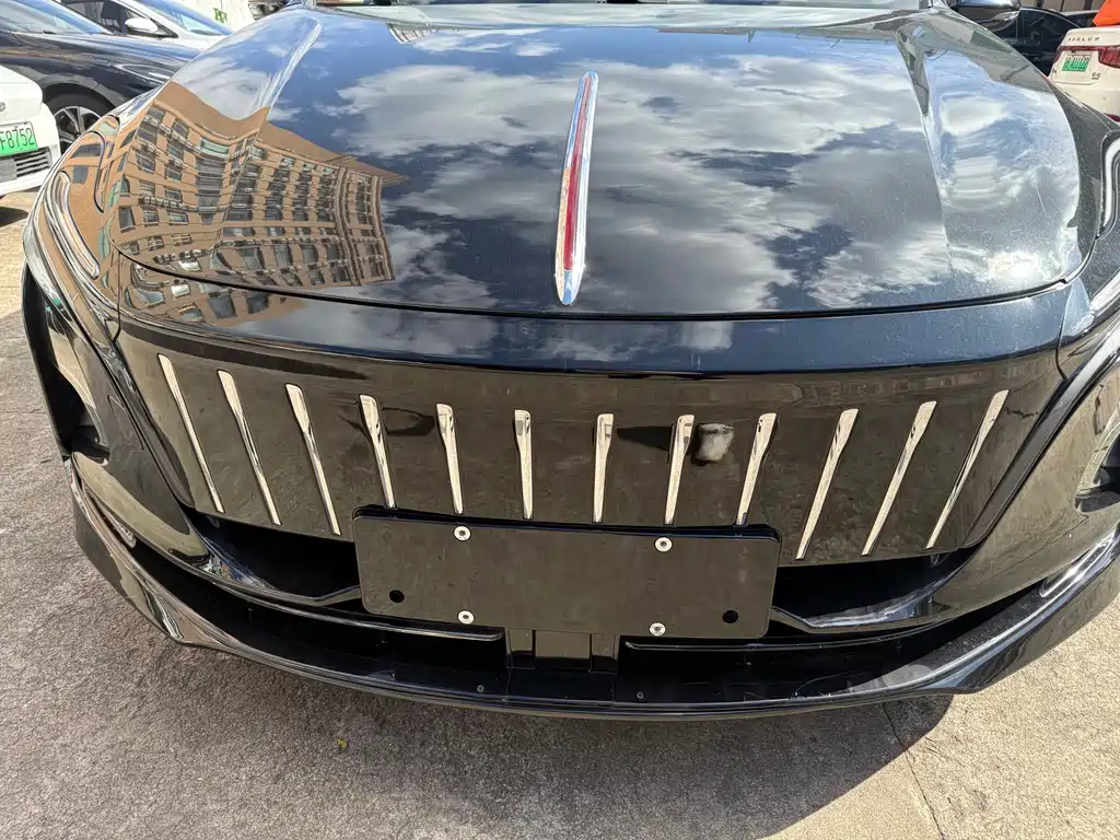 Hongqi HONGQI E QM5