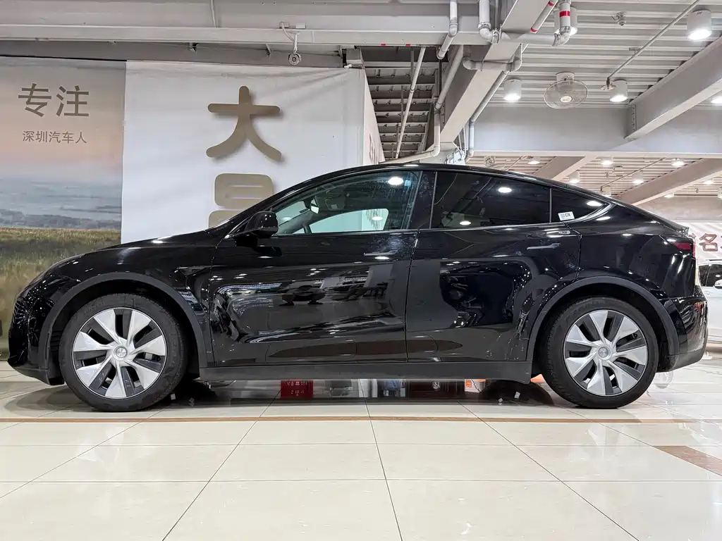 Tesla Model Y — миниатюра 4