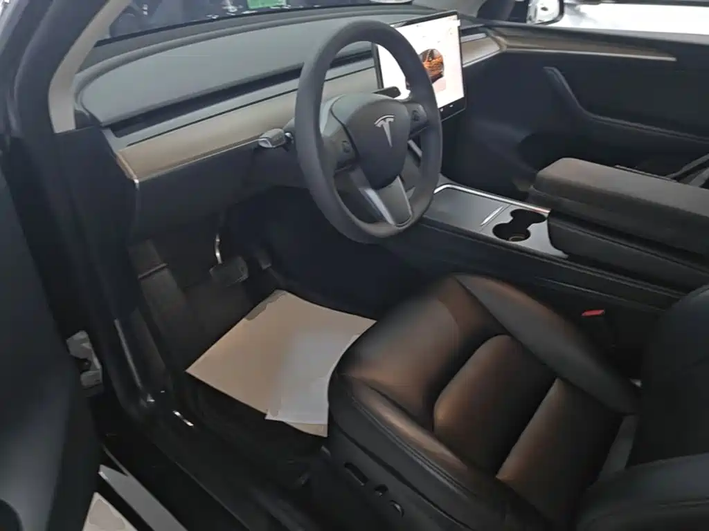 Tesla Model Y — миниатюра 15