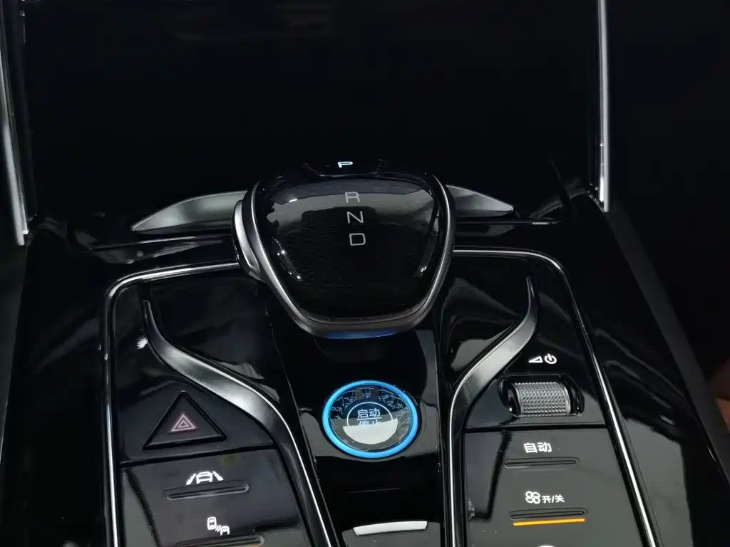 BYD Tang New Energy — миниатюра 13
