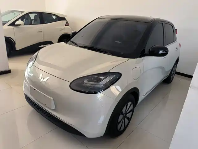 2025 Wuling Motors Binguo