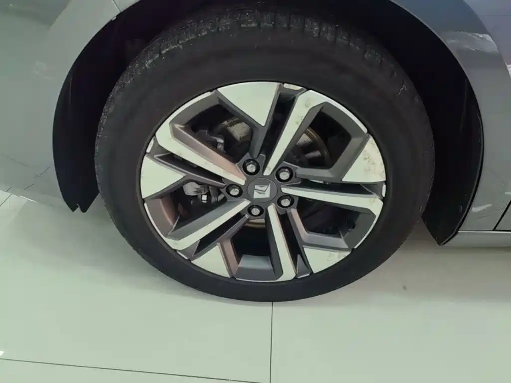 Baojun Valli — миниатюра 23