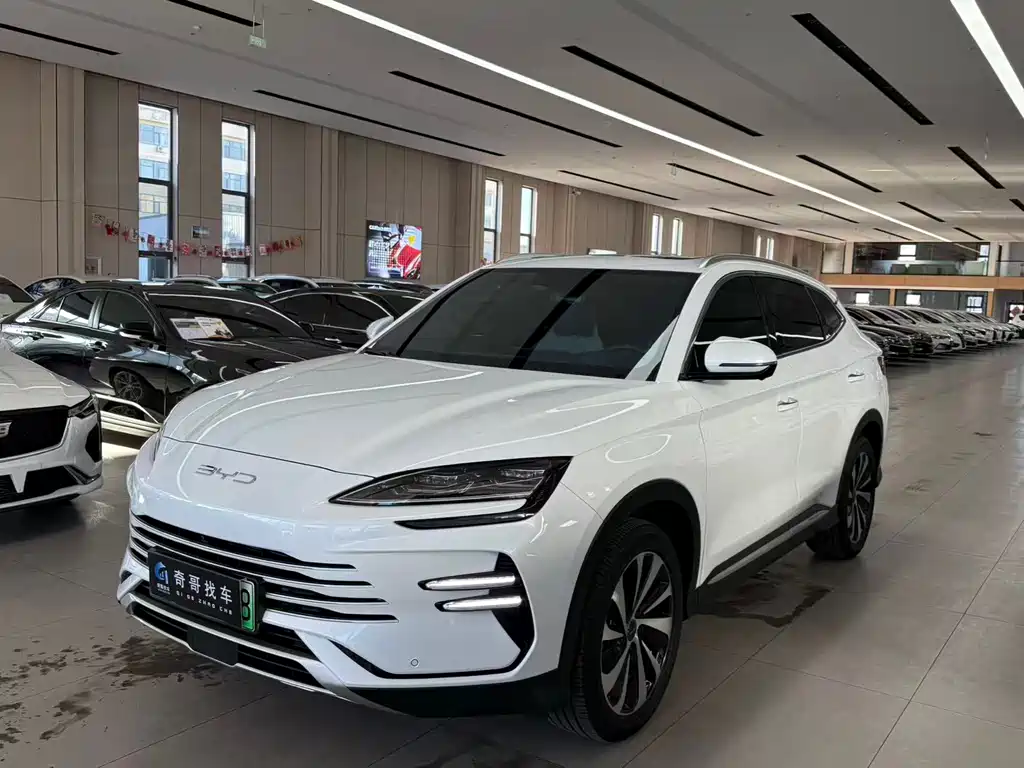 BYD SONGJIANG NEW ENERGY