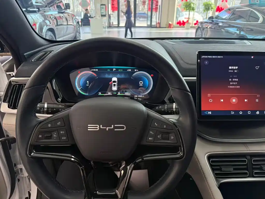 BYD SONGJIANG NEW ENERGY