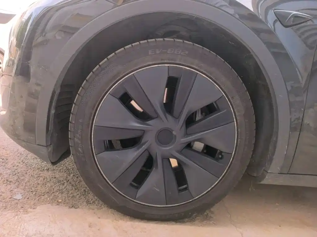 Tesla Model Y — миниатюра 23