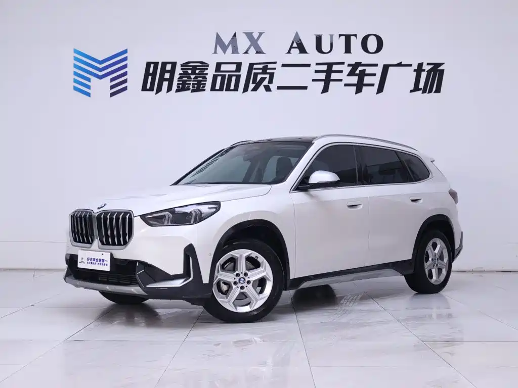 BMW X1 — миниатюра 2