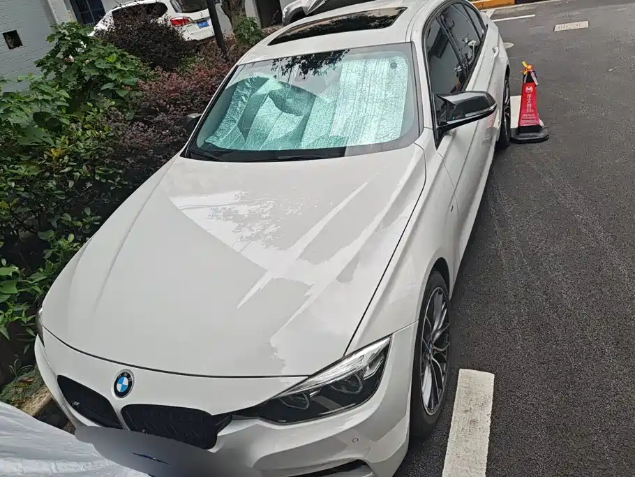BMW 3 Series 3 2018 320Li M Sport