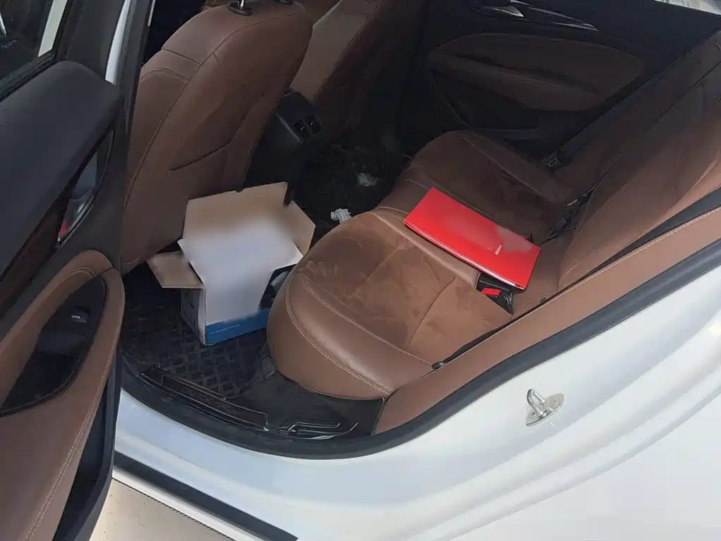 Buick Regal 2019 20T Elite V