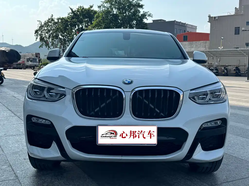 BMW X4 2019 xDrive25i M Sport