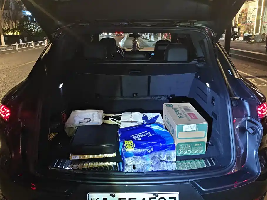 PORSCHE CAYENNE NEW ENERGY