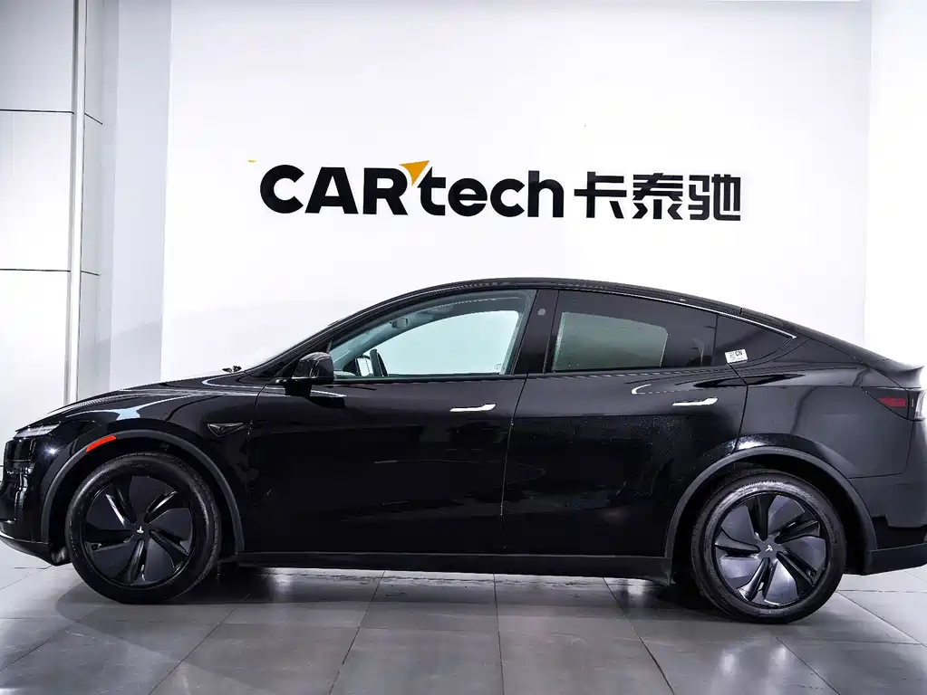 Tesla Model Y — миниатюра 4