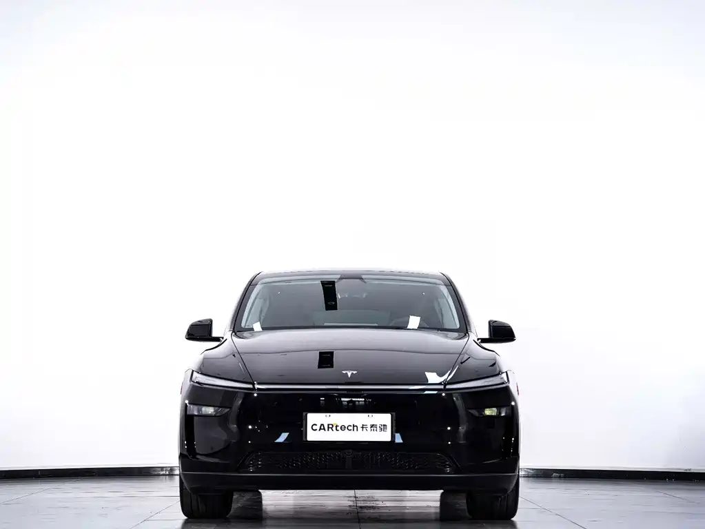 Tesla Model Y — миниатюра 3