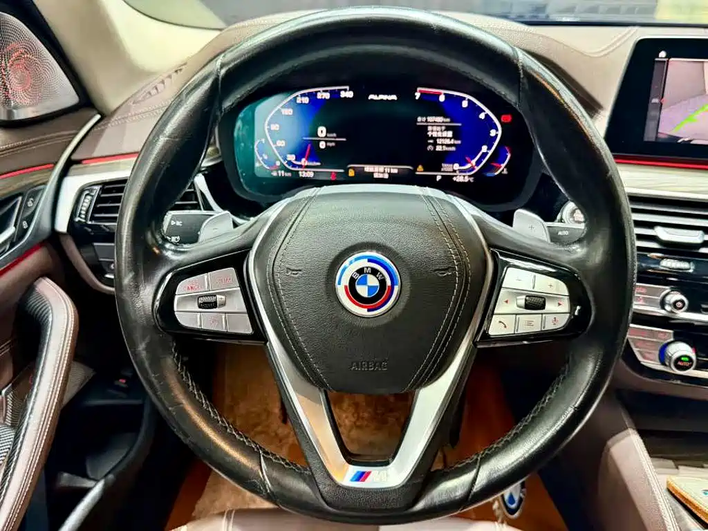 BMW 5 Series 5 2020 530Li Lead Luxury