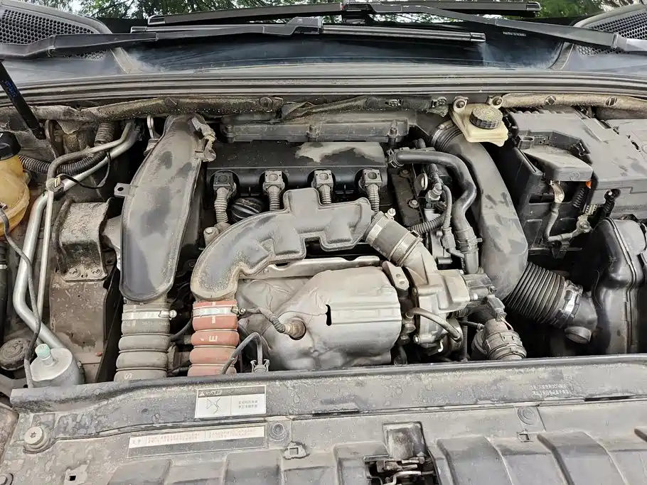 DS DS 5LS — миниатюра 10