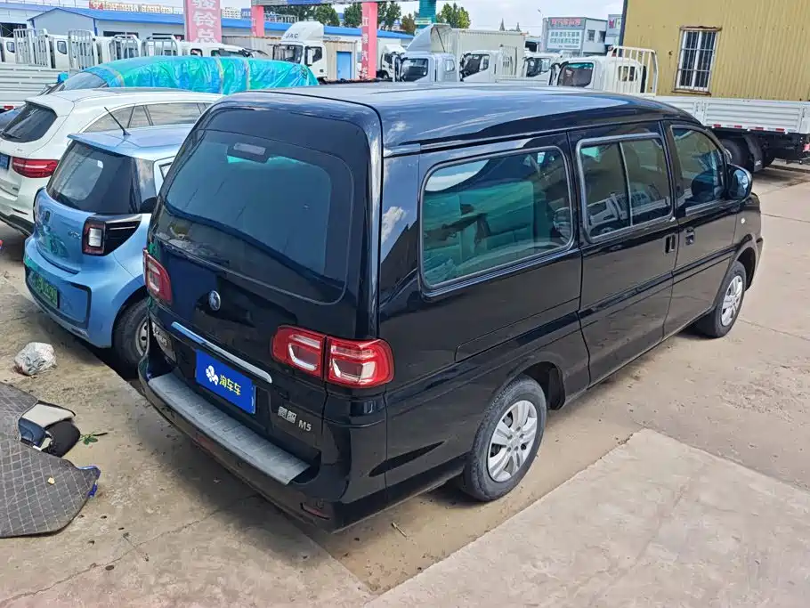 Fengxing Lingzhi — миниатюра 3