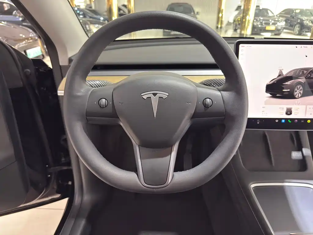 Tesla Model Y — миниатюра 14
