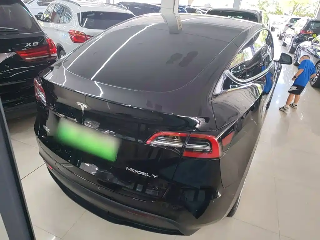 Tesla Model Y — миниатюра 6