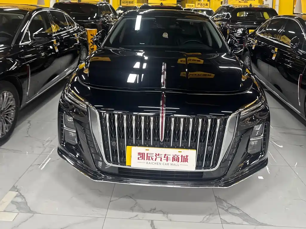 Hongqi Hongqi H5 — миниатюра 10