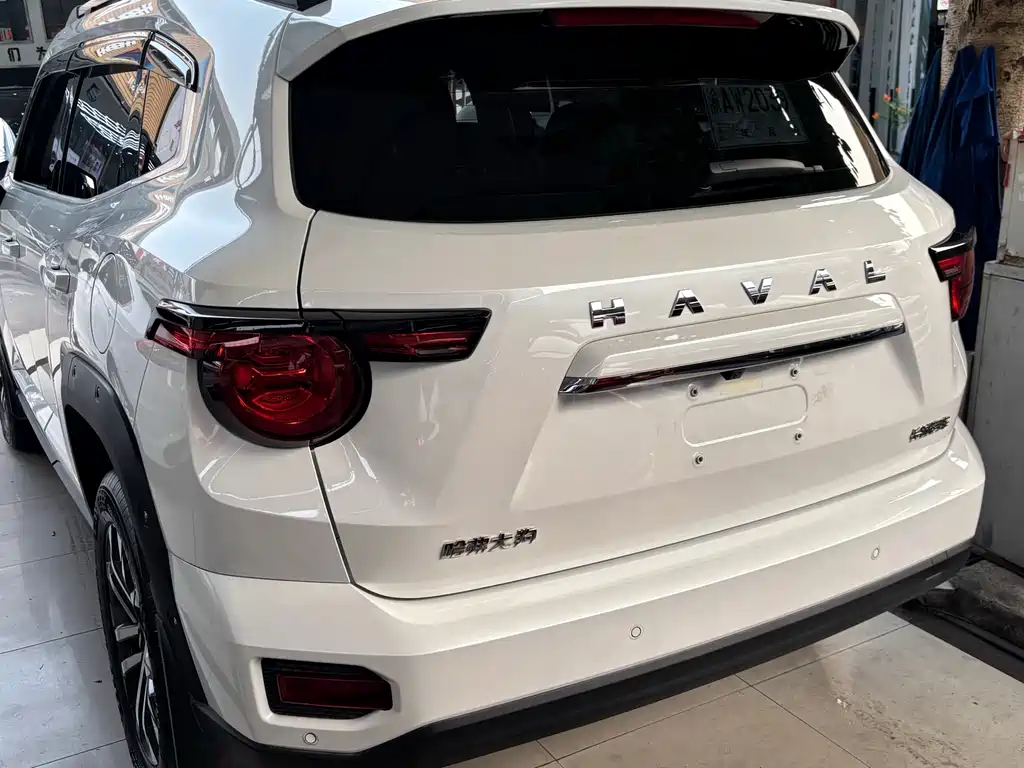 Haval Big Dog PLUS — миниатюра 10