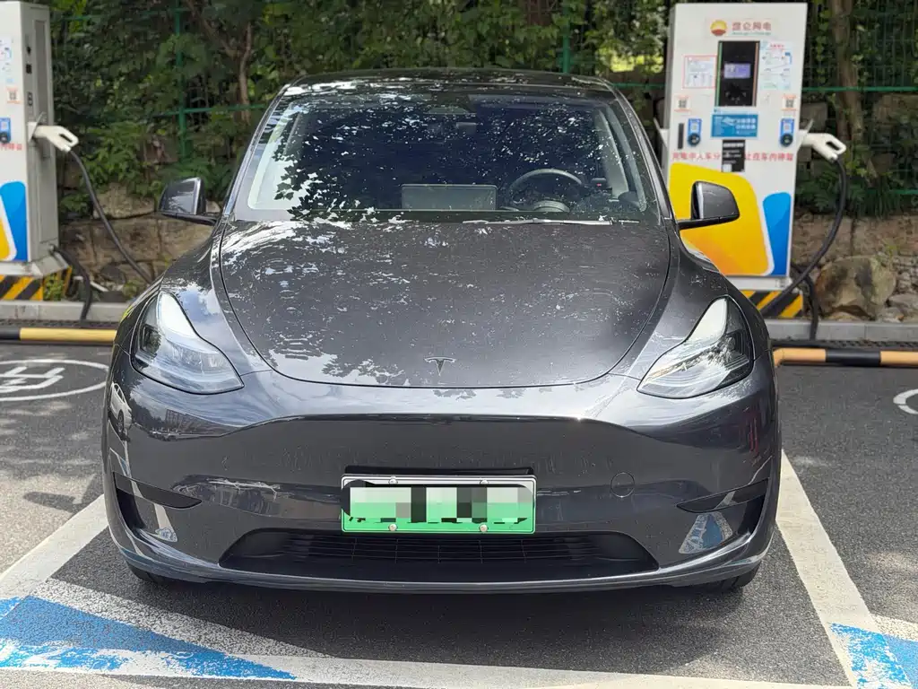 Tesla Model Y — миниатюра 2