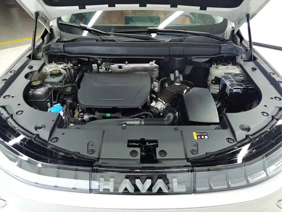 Haval Xiaolong MAX — миниатюра 10